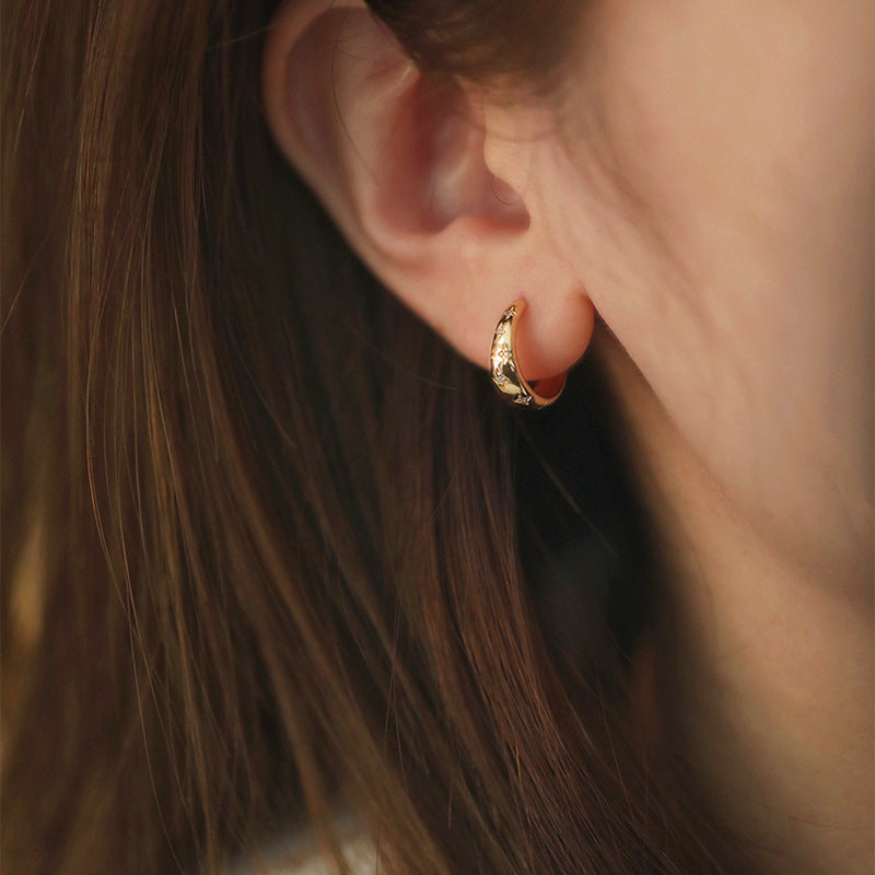 Luxurious Earrings in Gold and Silver - Haller