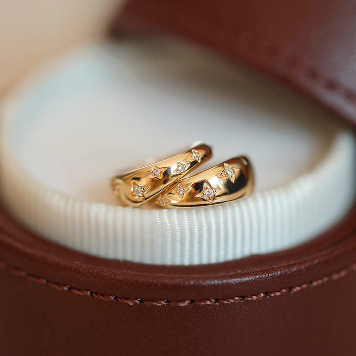 Luxurious Earrings in Gold and Silver - Haller