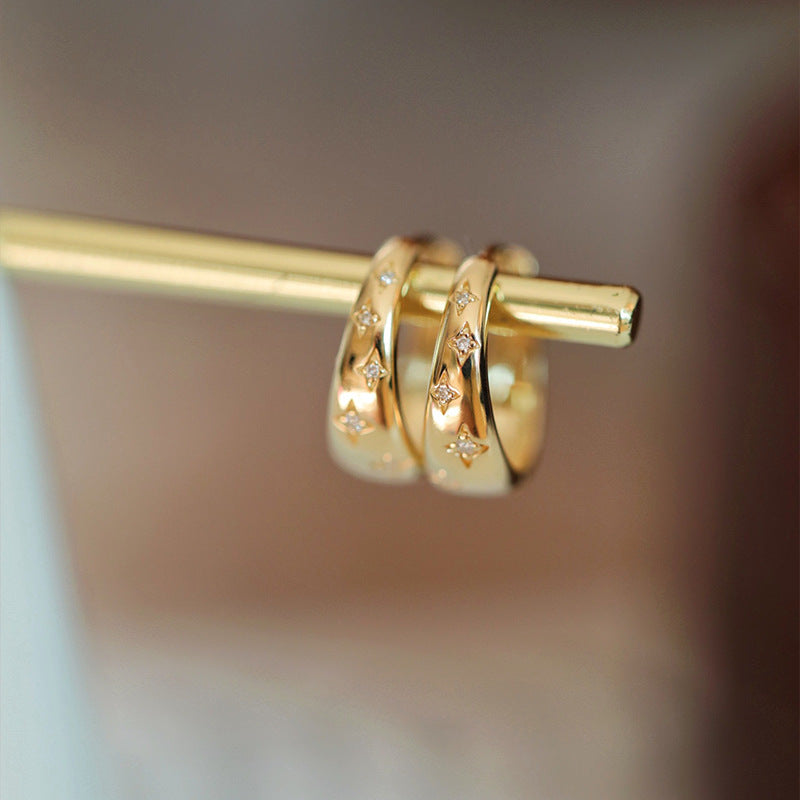 Luxurious Earrings in Gold and Silver - Haller