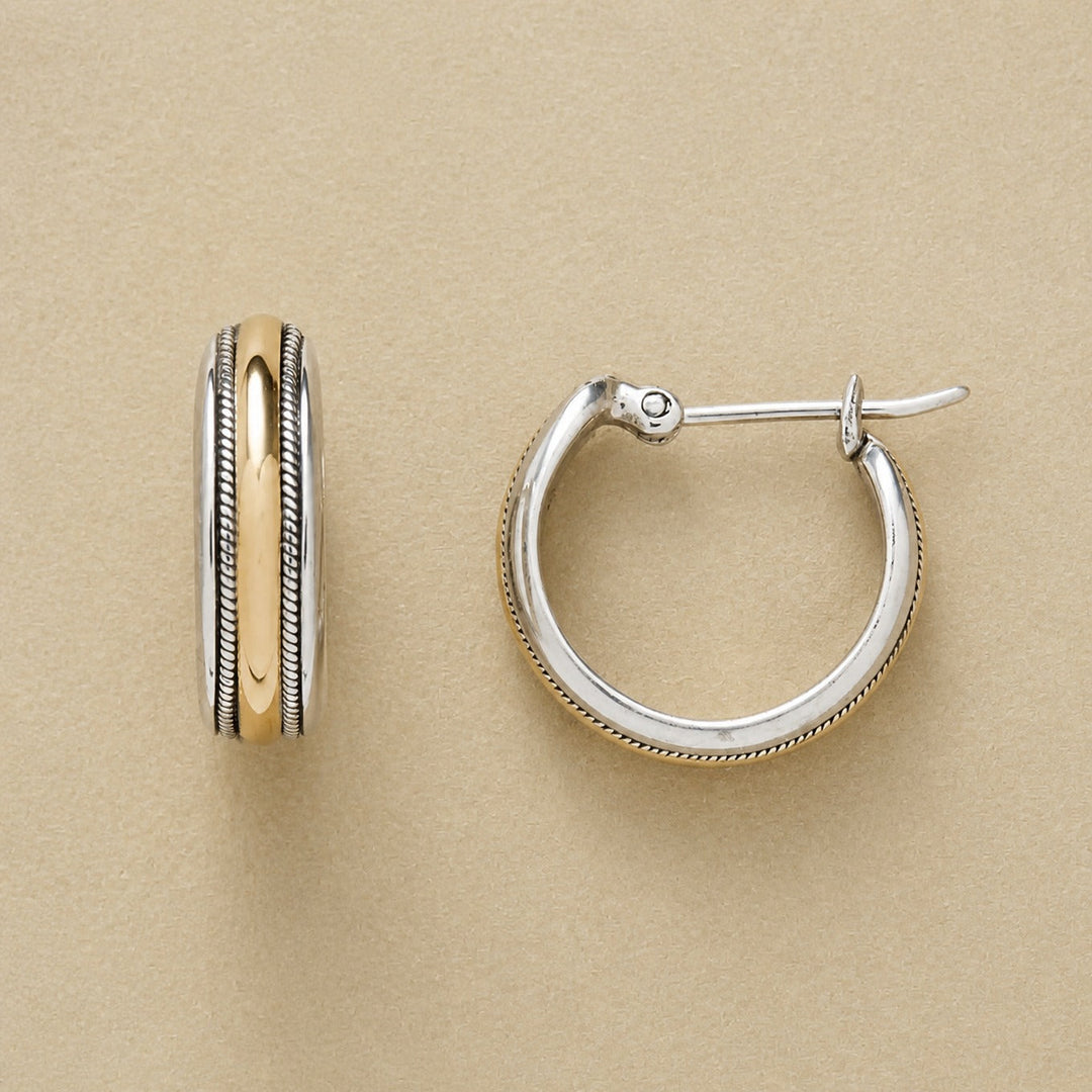 Shimmering Gold-Silver Hoop Earrings